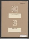 Surirella collare A. Schm. (de-Toni-Nr.: Genus 53, Species 2379) Zeichnungen Sammlung Grunow Nr. 4783 (NHMW-BOT-W0372918)